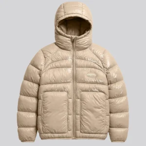 Glossy Puffer